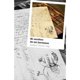 thumbnail image 1 of Libro El Cerebro De Mi Hermano, 1 of 2