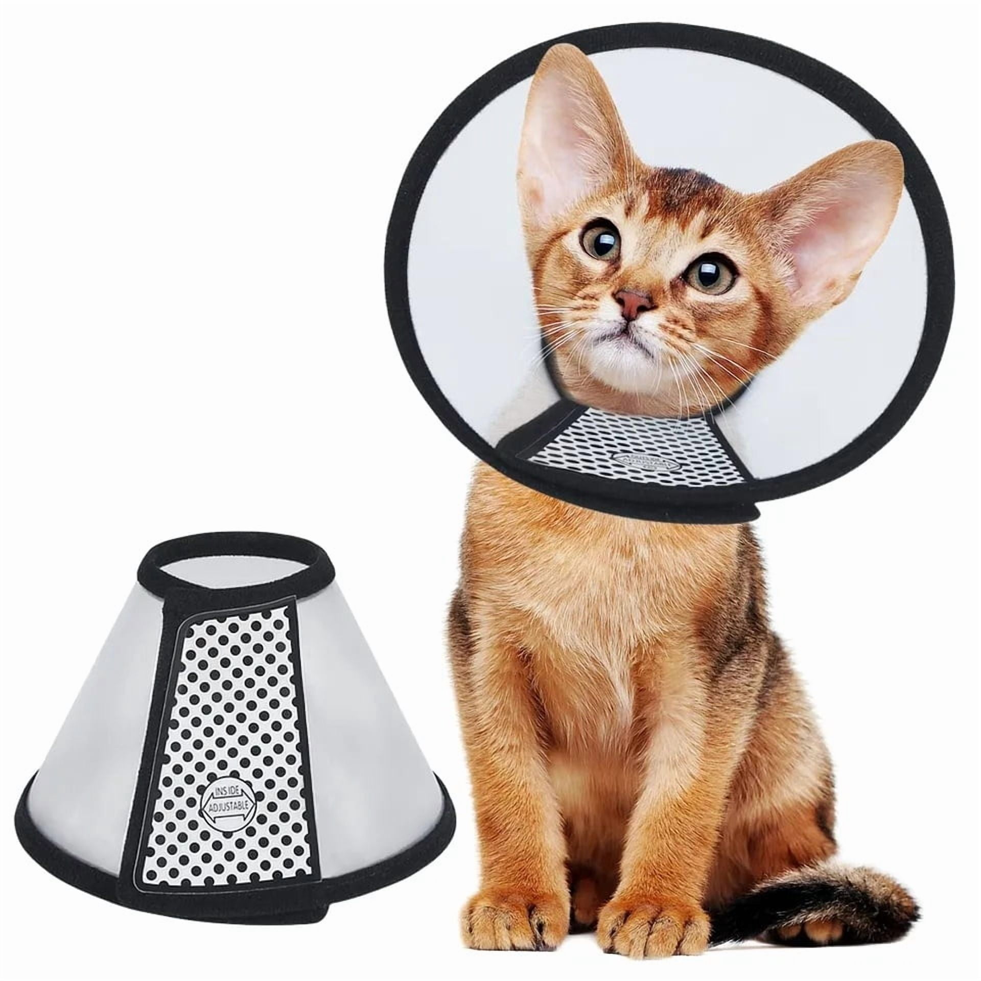 Collar Isabelino Velcro Xl 37 -42 Cm