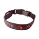 thumbnail image 2 of Collar Luminoso Resistente Con Luz Intermitente Para Perros Para Trabajar, Entrenar Y Correr, 2 of 3