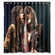 thumbnail image 1 of Cortina de ducha Aerosmith, juego de cortina de baño con ganchos, tamaño 66 x 72 pulgadas, 1 of 3