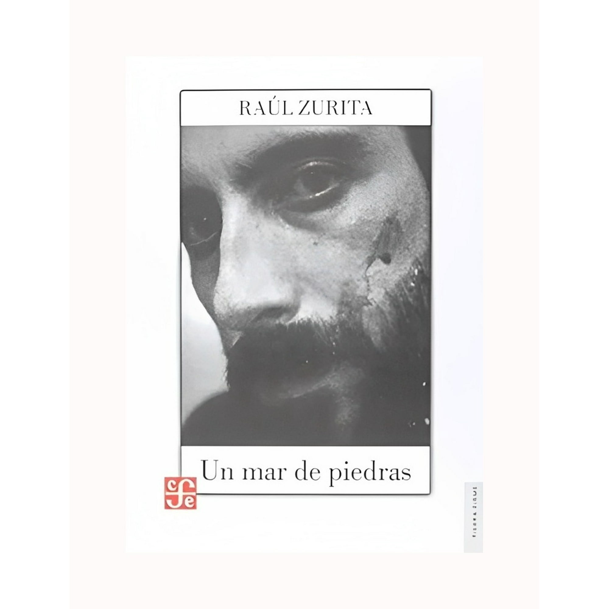 Fce Chile - Libro Un Mar De Piedras /707