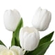 thumbnail image 3 of Tulipanes Artificiales, 3 of 5