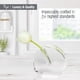 thumbnail image 3 of Vaso Bud Vase TIZO Design, cristal redondo, transparente y elegante, 3 of 6