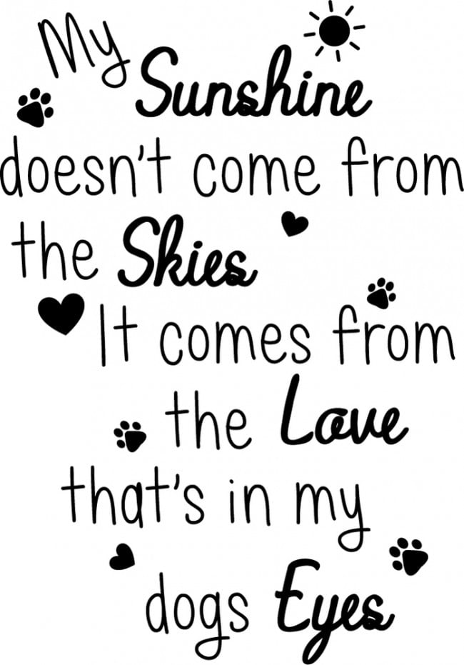 Rienda Libre Graphics - Decomural My Sunshine My Dog Pet Ws-41486