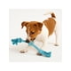 thumbnail image 2 of Juguete Perro Cuerda Hey! Celeste 31cm Algodón Natural celeste, 2 of 5