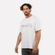 thumbnail image 2 of Polera Manga Corta Hombre Cuernos del Paine Blanca Atakama Outdoor, 2 of 3