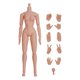 thumbnail image 4 of Juguetes De Cuerpo Musculoso De 12 Pulgadas, Coleccionables En Miniatura, Hombros Estrechos Desmontables, Hembra Normal, 4 of 5