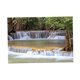 thumbnail image 5 of Póster De Fondo Para Acuario, Papel Tapiz Para Pecera, Decoración De Cascada, 76x46cm, 5 of 5