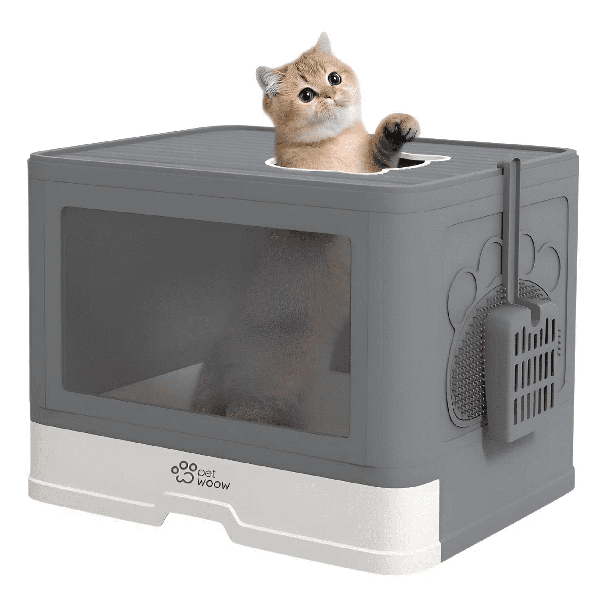 Arenero Gatos Cuadrado 48x36x38 Cm Petwoow