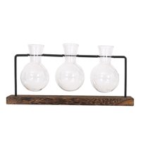 Bothyi - Florero Hidropónico Para Plantas, Maceta, Jarrón Transparente, Marco De Madera, Jardinera De Mesa