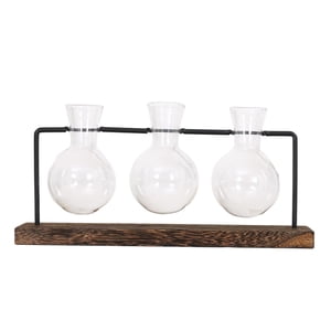 Bothyi - Florero Hidropónico Para Plantas, Maceta, Jarrón Transparente, Marco De Madera, Jardinera De Mesa