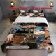 thumbnail image 1 of 3pcs Plum Theme Printed Three Piece Bedding Set Soft Quilt Cover And Two Pillowcases, 1 of 5