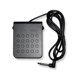 thumbnail image 2 of Pedal Damper/Sustain Casio SP-3 negro 15, 2 of 3