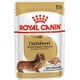 thumbnail image 1 of Royal Canin Dachshund Adulto Pouch 85 Gr, 1 of 1