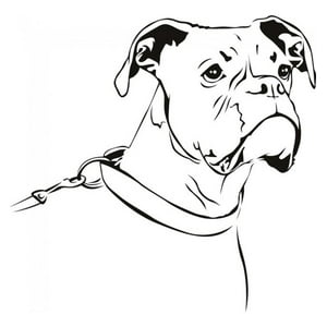 Rienda Libre Graphics - Decomural Boxer Dog Pet Animals Ws-17591