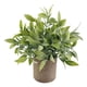 thumbnail image 1 of Planta Suculenta Falsa Artificial En Maceta Mini Plantas En Maceta Decoración De Jardín Para El Hogar Hojas, 1 of 5
