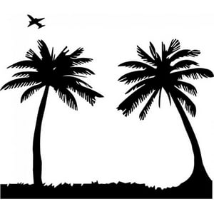 Rienda Libre Graphics - Decomural Palm Trees Beach Ws-32827