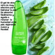 thumbnail image 5 of Gel Aloe Vera Hidratante Purificador 300ml, 5 of 7