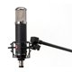 thumbnail image 2 of Micrófono de condensador de tubo Lauten Audio LA-320 V2, 2 of 8