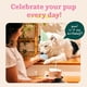 thumbnail image 3 of Juguete interactivo para perros WOOF Party Pupsicle para perros pequeños, 3 of 7