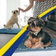 thumbnail image 5 of Felpudo Muddy Mat® de microfibra superabsorbente, 60 x 90 cm, azul, 5 of 7