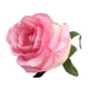 thumbnail image 5 of 10 unids rosa de seda artificial cabeza de diy ramo decoración de la boda rosa, 5 of 5