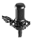 thumbnail image 2 of Microfono Condensador XLR AudioTechnica AT2035, 2 of 4