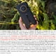 thumbnail image 2 of Ulefone Power Armor 16S - Sonido Hi-Fi, Batería de 9600mAh y Resistencia Extrema, 2 of 11
