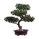 thumbnail image 5 of Planta De Maceta De árbol De Bienvenida Artificial Bonsai Versátil Para Hall Vestibule Style C, 5 of 5