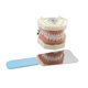 thumbnail image 3 of Espejo Dental Fotográfico Doble Cara FUREIN SMILE de Vidrio, 3 of 6