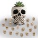 thumbnail image 2 of Escultura Junware 40 piezas miniaturas de calaveras de resina 1,8 cm, 2 of 8