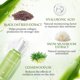 thumbnail image 3 of Sérum Hidratante Facial Aloderma Aloe 50 mL con 69% Aloe Orgánico, 3 of 9