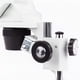 thumbnail image 4 of Microscopio Binocular digital AmScope SE306R-AZ-E 20X/40X/80X, 4 of 9