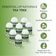 thumbnail image 5 of Bálsamo labial Chap-Ice Mini 50 unidades SPF-15 3 sabores, 5 of 9