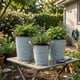 thumbnail image 3 of Set 3 Macetero Metalico Celeste Decorativo Con Asas Jardín, 3 of 7