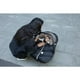 thumbnail image 2 of Cobertor Silla Auto Cocoon- Negro Faux Fur, 2 of 2