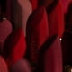 thumbnail image 4 of Labial Sisley Paris Phyto-Rouge Velvet 43 Rouge Ardent, 4 of 7