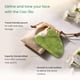 thumbnail image 4 of Set Ritual De Masaje Premium Jade Gua Sha + Oil, 4 of 7