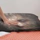 thumbnail image 3 of Black Myth Wuko Bedding Sets Bed Cartoon Duvet Cover Lightweight 3 Piece Bet Sets for Kids Boys Girls, 3 of 4