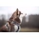 thumbnail image 5 of Arnés para perros TRUE LOVE TLH5651 reflectante ajustable gris, 5 of 12