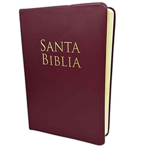 Biblia Reina Valera 1960 Letra Grande Burgundy