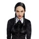 thumbnail image 1 of Peluca doble trenzada Dreamgirl Wednesdays para mujer, accesorio de disfraz, 1 of 1