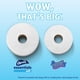 thumbnail image 5 of Papel higiénico Charmin Essentials Soft 6 rollos mega de 2 capas, 5 of 9