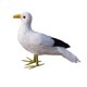 thumbnail image 2 of Pluma De Pájaro Artificial Realistic Home Garden Decor Ornamento Gaviota 1, 2 of 3