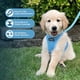 thumbnail image 2 of Arnés Best Pet Supplies Voyager Step-in Air Baby Blue M, 2 of 8