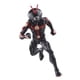 thumbnail image 4 of Figura de acción Marvel Legends Series Future Ant-Man 6", 4 of 6