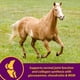 thumbnail image 5 of Suplemento Farnam Horse Health Joint Combo para pezuña y abrigo, 8 libras, 5 of 9