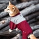 thumbnail image 5 of Suéter para perro Pet Life 'Tail Runner' ligero y ventilado, 5 of 9