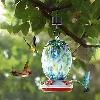 D&m - Bebedero Y Comedero Para Colibrí.