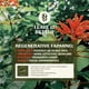 thumbnail image 5 of Serum Thrive Natural Bakuchiol para rostro con ácido hialurónico, 5 of 8